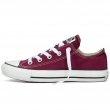 Chuck Taylor All Star Seasonal-CO