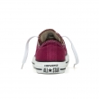 Chuck Taylor All Star Seasonal-CO