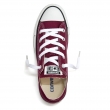 Chuck Taylor All Star Seasonal-CO